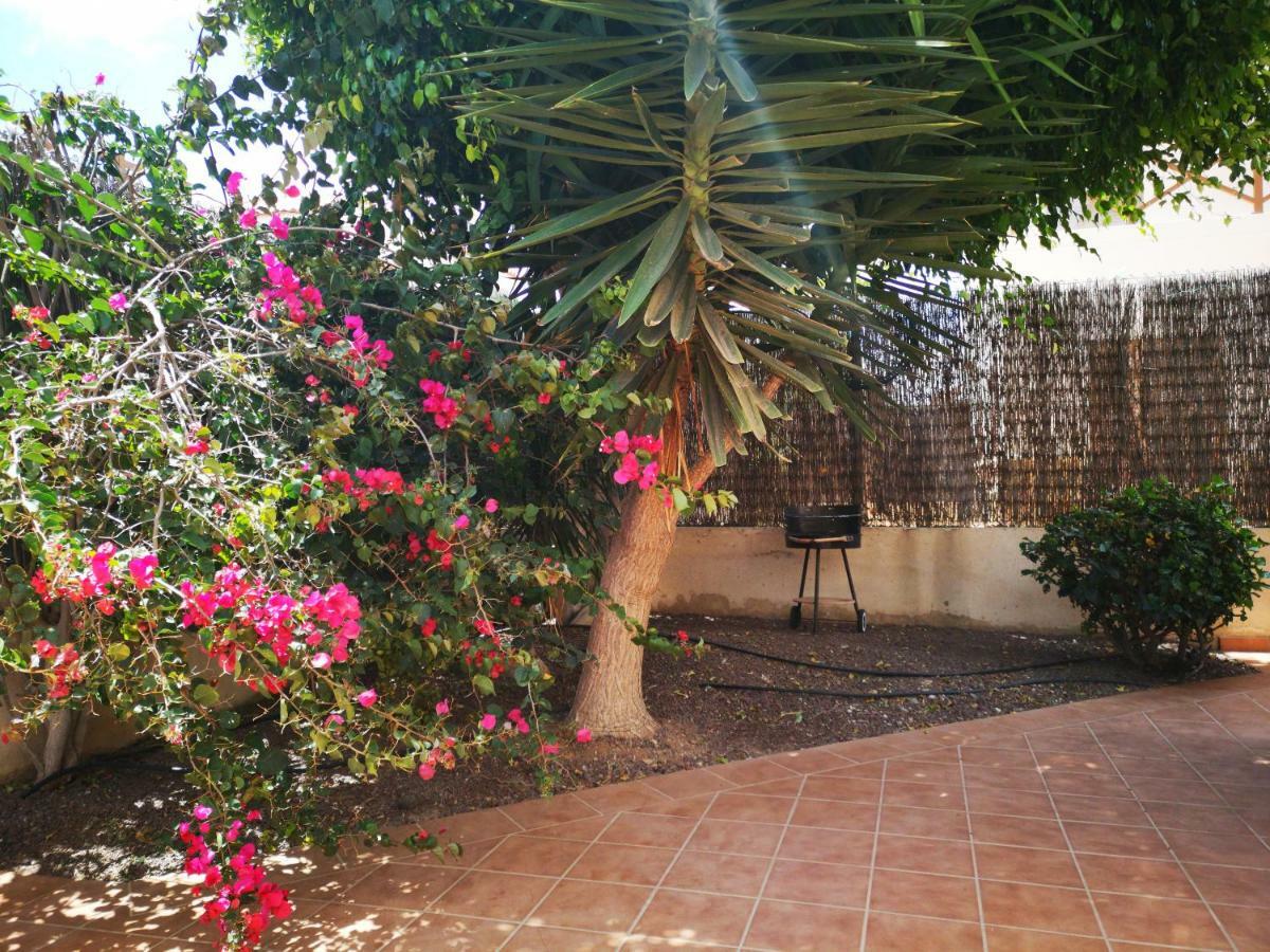 Casa Silencio, Villa With Terrace, Garden And Large Pool Area Corralejo Exteriör bild